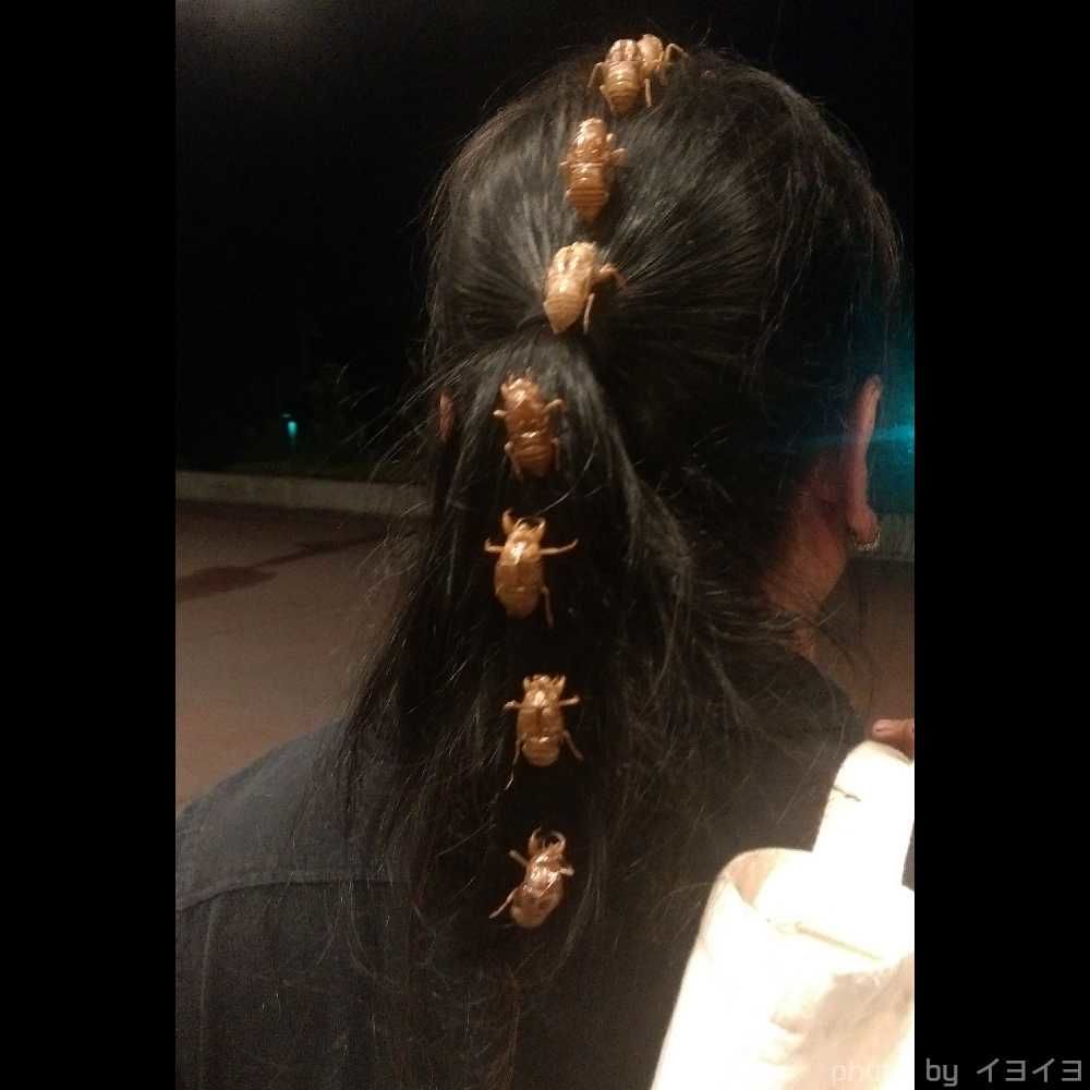岩手観光