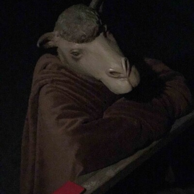 らくだのかぶりもの