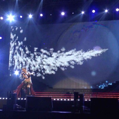 火付盗賊のソウル遠征ファイアーショー