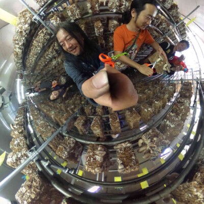 八丈島グルメの大竜ファーム