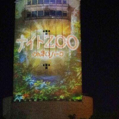のんほいパーク ナイトZOO