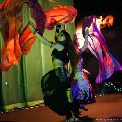 UMIDOKOプロジェクト新木場ファイアーワークス火付盗賊ファイヤーショー