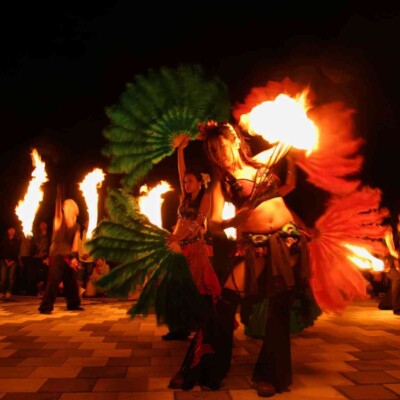 愛工大祭ファイアーショー