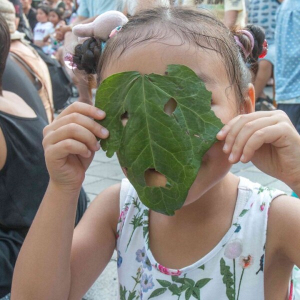 おこたんぺのコンタクトジャグリング大道芸