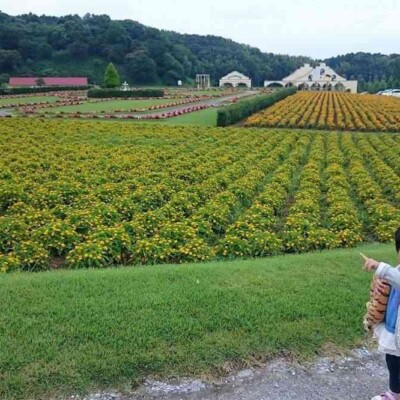 東京ドイツ村