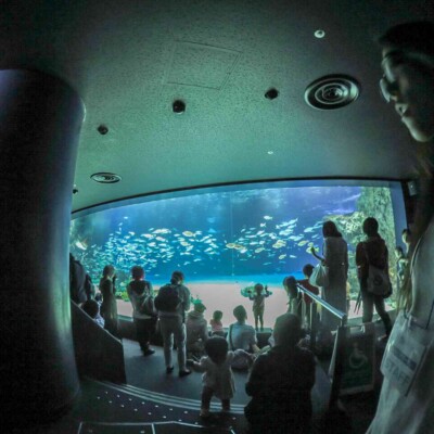 池袋サンシャイン水族館
