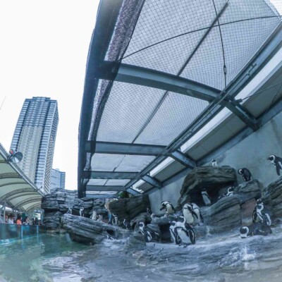 池袋サンシャイン水族館