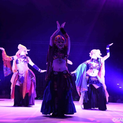プロレスリングでパフォーマンス