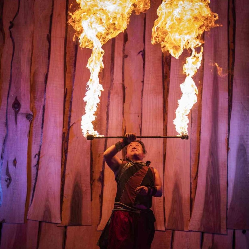 炎上するファイアー技