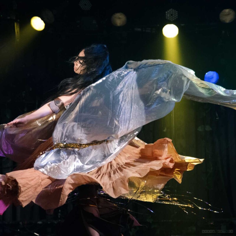 ベリーダンスダブルベール