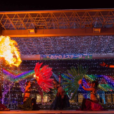 東京ドイツ村の夏イベントサマーフェスタでイルミネーションとファイアーショー