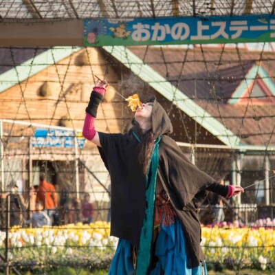 東京ドイツ村の夏イベントサマーフェスタでイルミネーションとファイアーショー