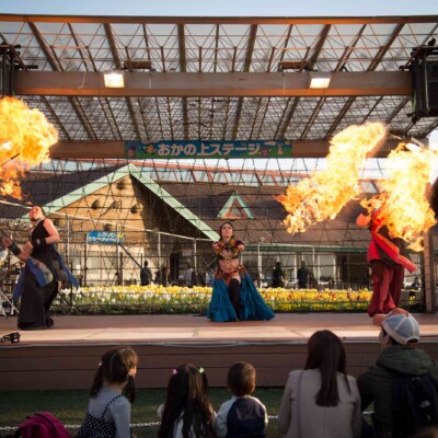 東京ドイツ村の夏イベントサマーフェスタでイルミネーションとファイアーショー