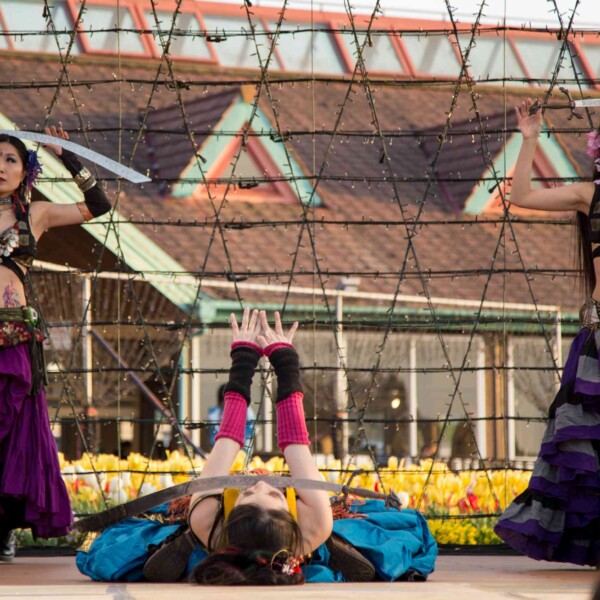 ベリーダンスとファイアーパフォーマンス