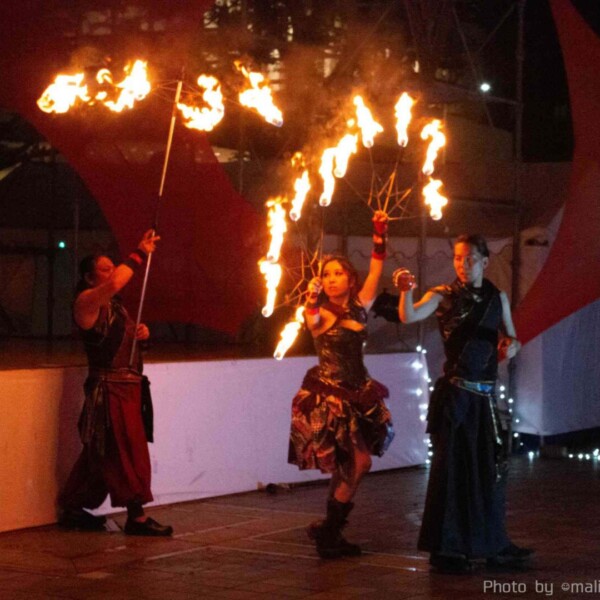 千葉中央公園で火付盗賊ファイアーパフォーマンス