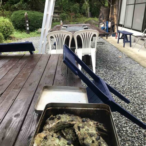 気仙沼で牡蛎をいただきます