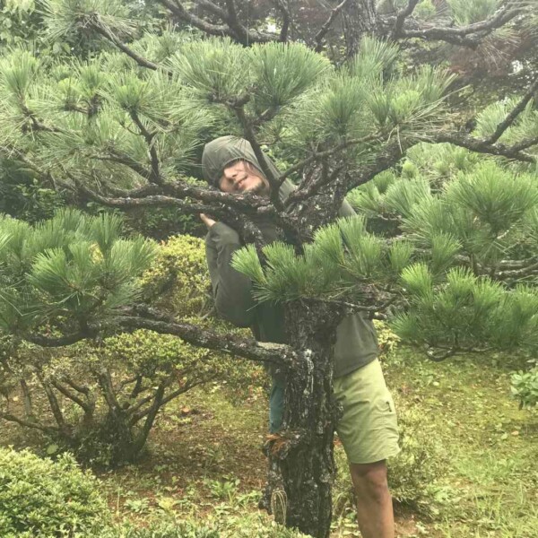団平さん家の庭で緑の妖精さん 気仙沼の団平さんの家