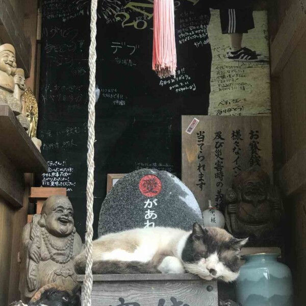 気仙沼の団平さんの家