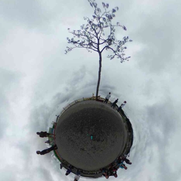 気仙沼奇跡の一本松