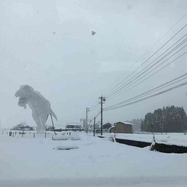 極寒のスキージャム勝山で雪山ファイアーショー