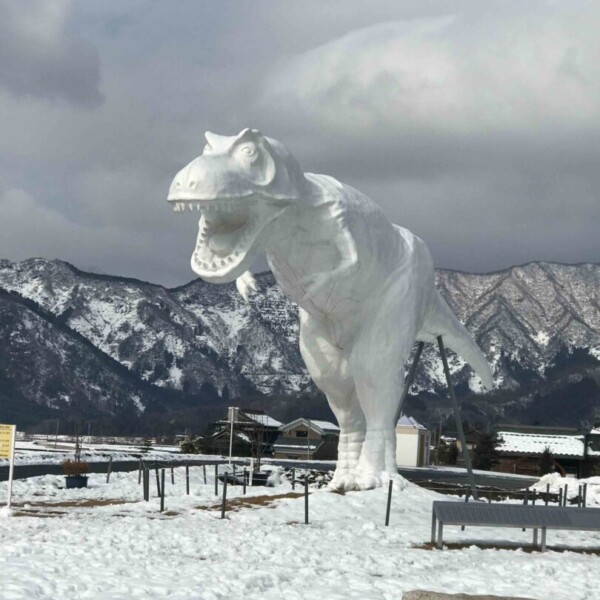 極寒のスキージャム勝山で雪山ファイアーショー