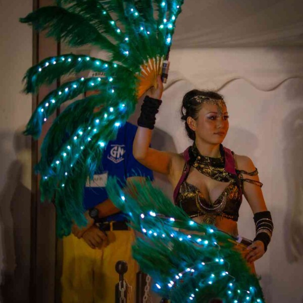 LEDフェザーファンズ 西武園ゆうえんちのプールの夏イベントを盛り上げるイルミネーションライトパフォーマンス
