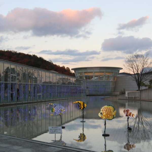 あすたむらんどのイルミネーション