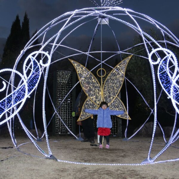 あすたむらんどのイルミネーション