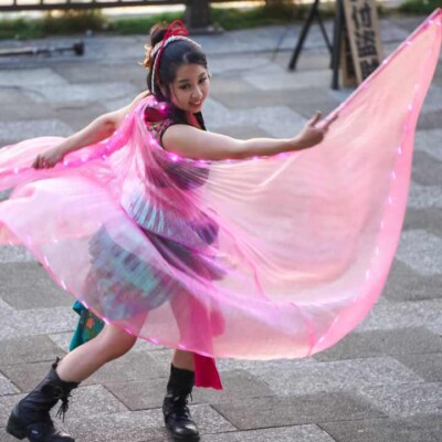 隅田川の大道芸フェスティバルでベリーダンス