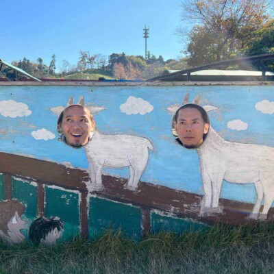 違和感のないセイムセイム。ヤギヤギでもいけそう 東京ドイツ村の動物園