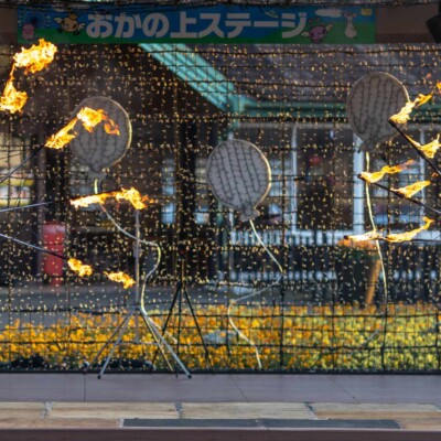 東京ドイツ村のファイヤーショー