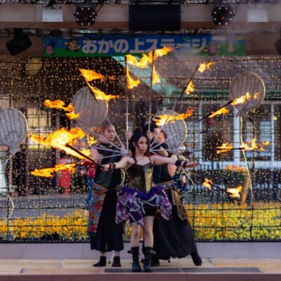 東京ドイツ村のファイヤーショー