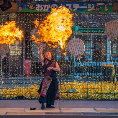 東京ドイツ村のファイヤーショー