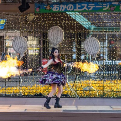 東京ドイツ村のファイヤーショー