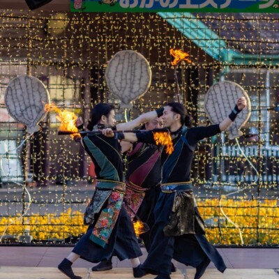 東京ドイツ村のファイヤーショー