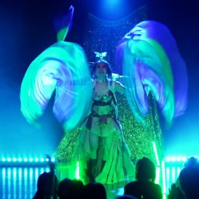 Performer on stage wearing an elaborate gown with large colorful wings, illuminated by blue-green lights with a glittery backdrop and audience in front.
